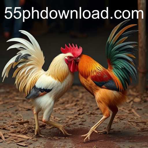 Understanding Sabong Games and the Rise of 55ph